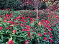 photos 2000-200902762